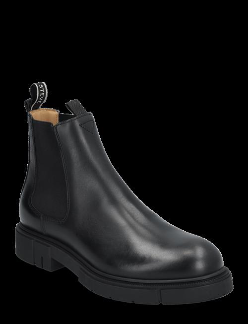 Sneaky Steve | Cashville U Brown | 38