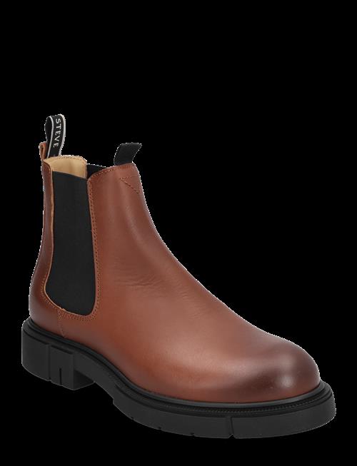 Sneaky Steve | Cashville U Cognac | 38