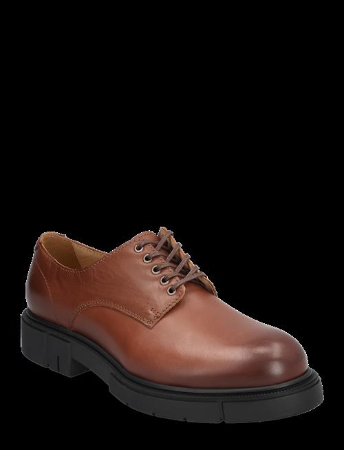 Sneaky Steve | Denver U Black | 39