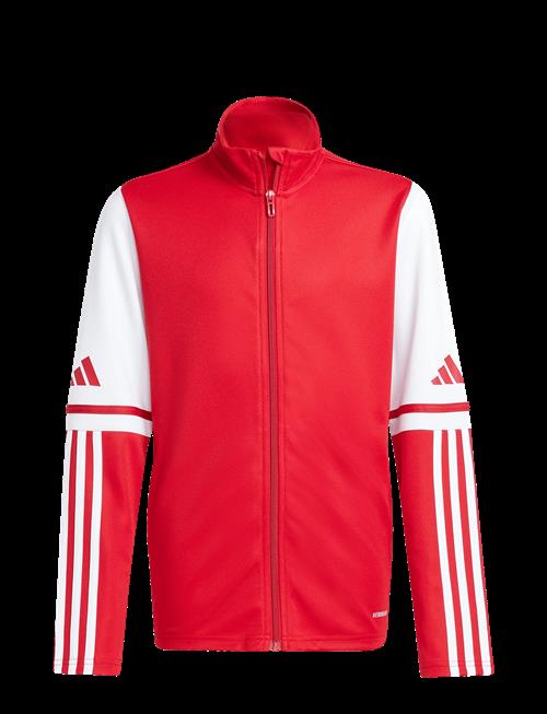 adidas Performance | Sq25 Tr Jkt Y | 164
