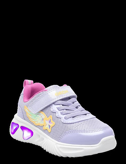 GEOX | J Assister Girl B | 33