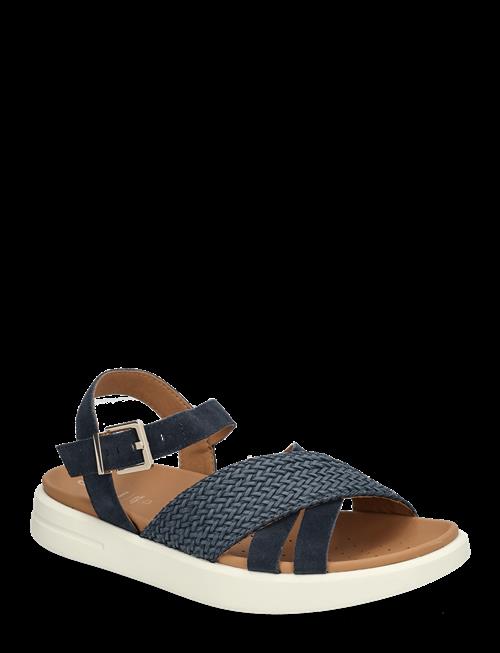 GEOX | D Xand 2S B | 37