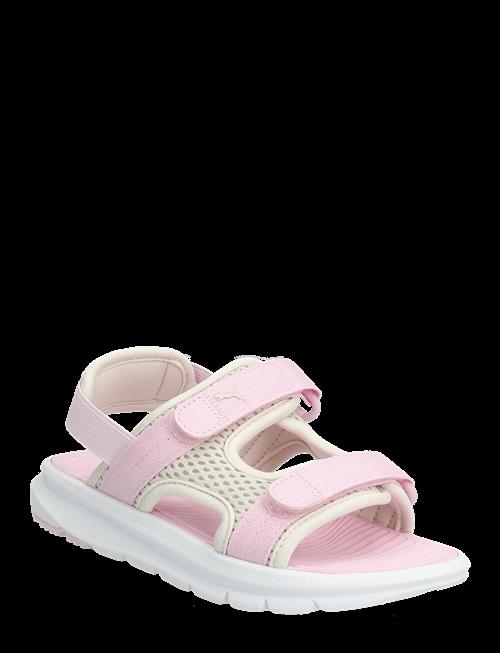 PUMA | Puma Evolve Sandal Ps | 32