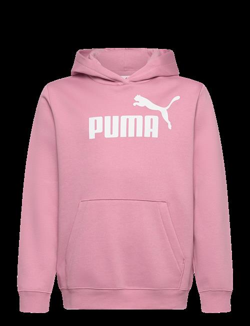 PUMA | Ess No. 1 Logo Hoodie Fl G | 176