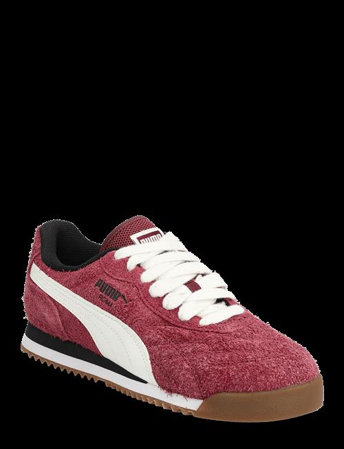 PUMA | Roma Anniversario Suede | 36