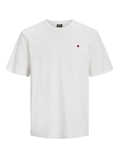 R.D.D. by Jack & Jones Bluser & t-shirts 'RDDROAD'  rød / hvid