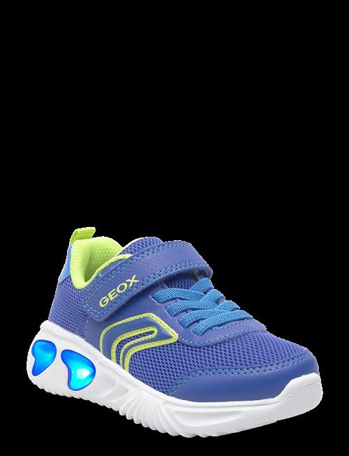 GEOX | J Assister Boy C | 30