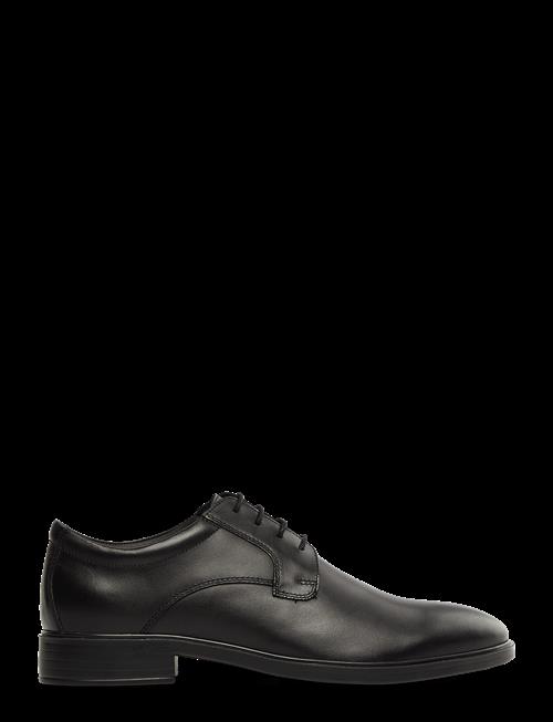 GEOX | U Gladwin A | 41