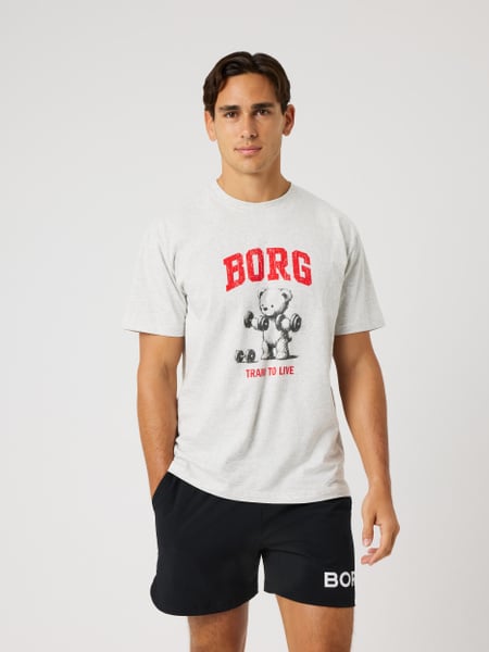 Björn Borg Borg Classic Print T-shirt Grå, S