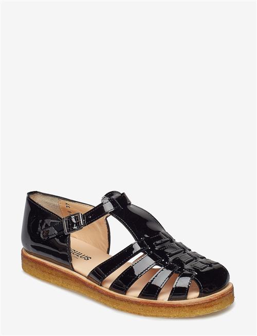 ANGULUS | Sandals - Flat  - Closed Toe - Op | 40
