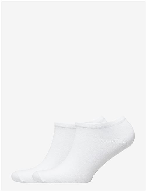 Tommy Hilfiger | Th Men Sneaker 2P | 43-46