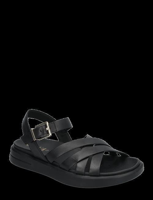GEOX | D Xand 2S B | 40