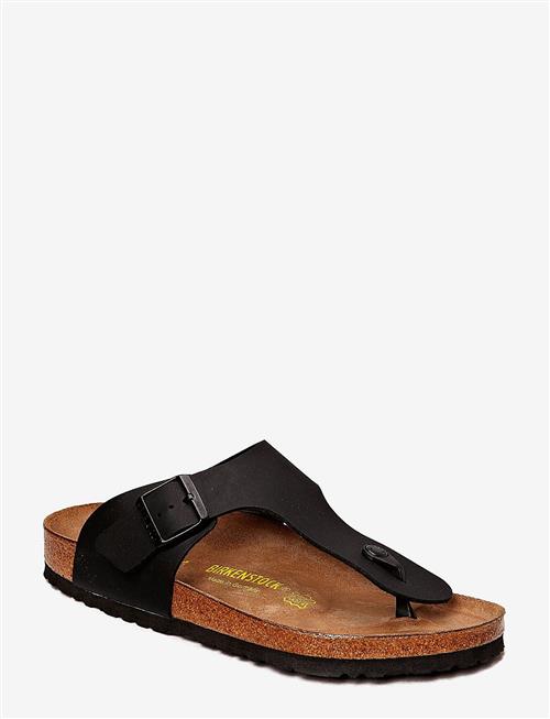 Birkenstock | Ramses Bf | 43