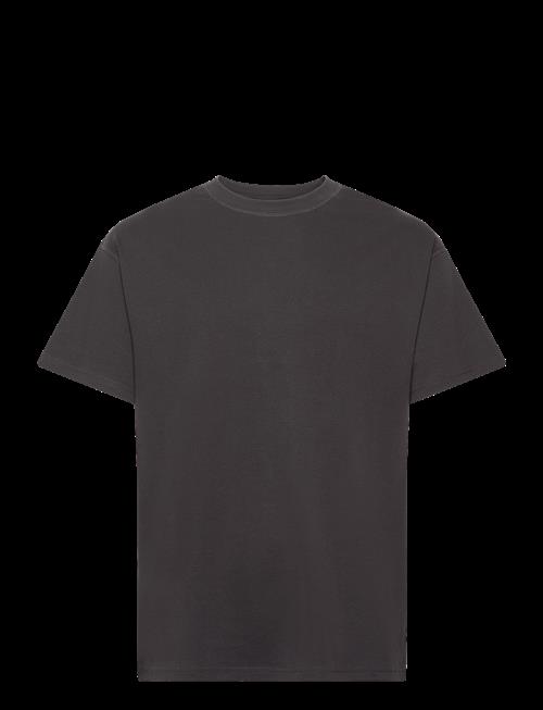 Solid | Sddanton | XL