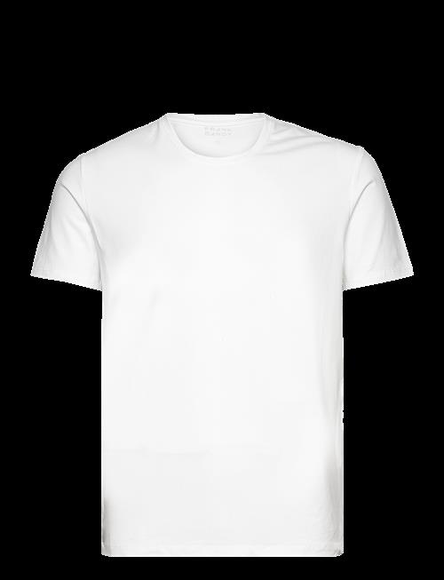 Frank Dandy | Bamboo Tee | XL