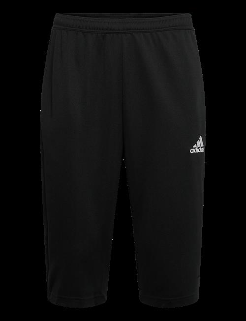 adidas Performance | Ent22 3/4 Pnt | XS