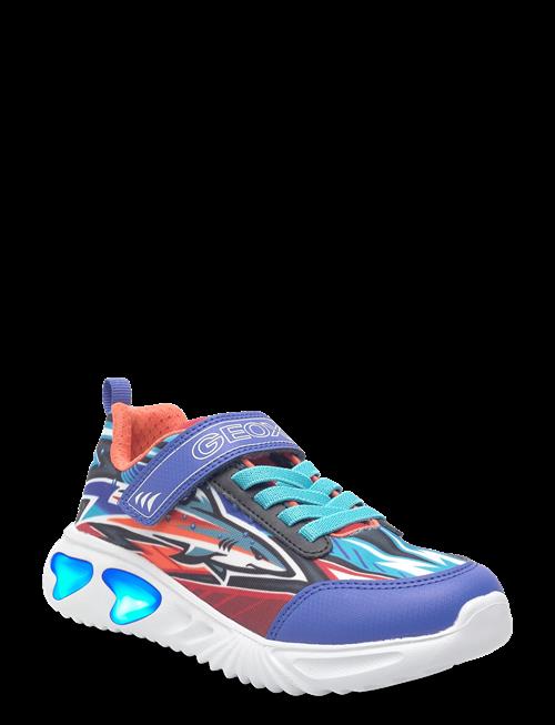 GEOX | J Assister Boy B | 34