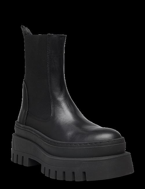 Steve Madden | Cassandra | 37