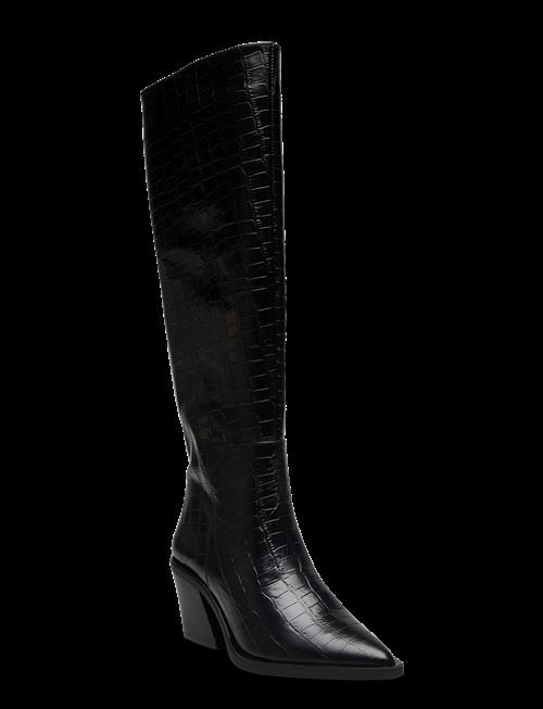 Pavement | Pamarthe Croco | 41