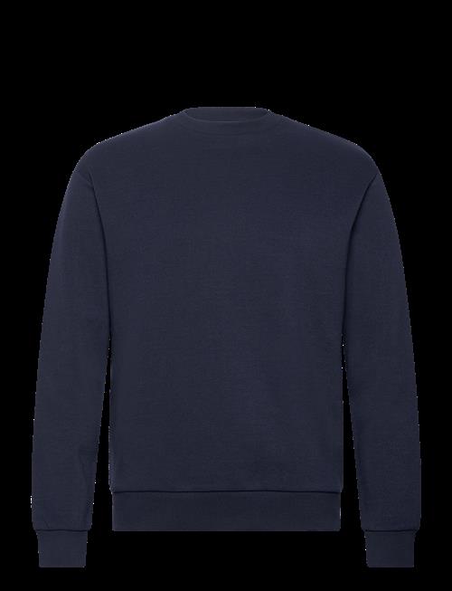 Jack & Jones | Jjebradley Sweat Crew Noos | S