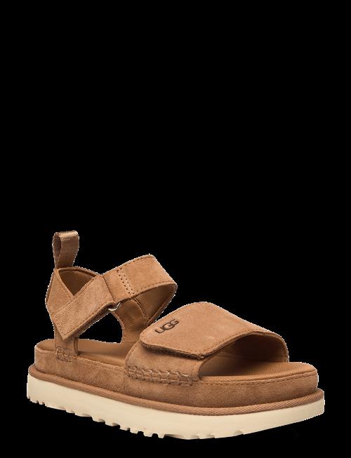 UGG | W Goldenstar | 41