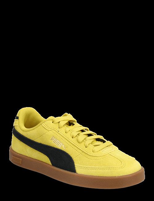 PUMA | Puma Club Ii Era Suede | 38.5