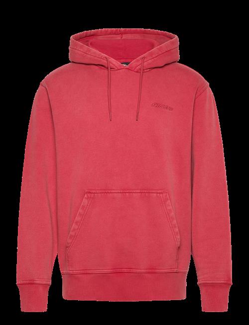 Dickies | Plentywood Hoodie | XL