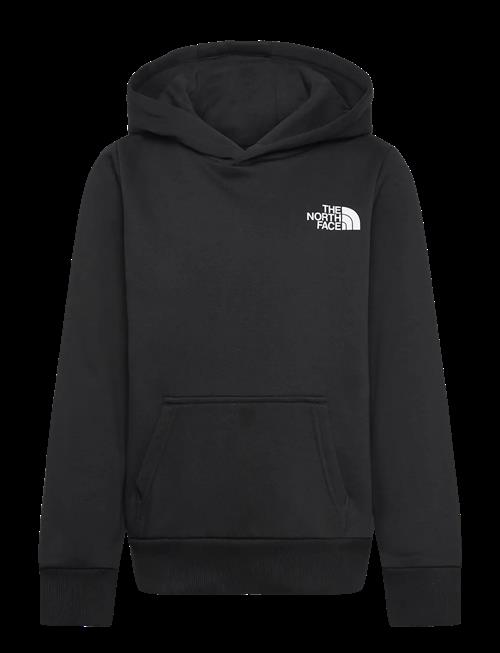 The North Face | Teen Simple Dome Hoodie | 120-129