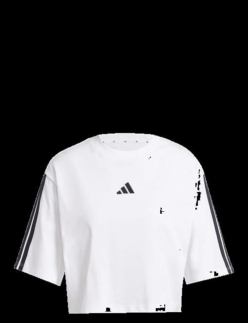 adidas Sportswear | W 3S Sj Tlr T | L