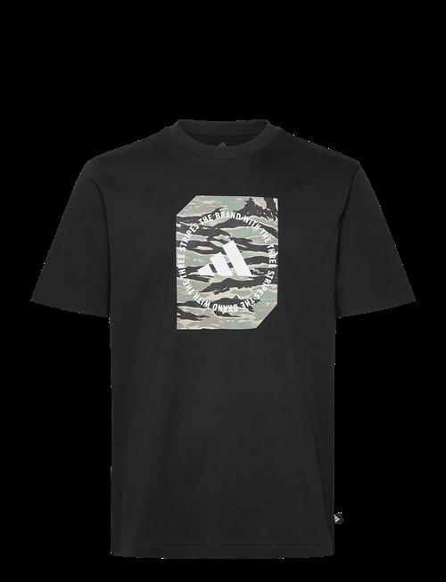 adidas Sportswear | M C Camo Box T | M