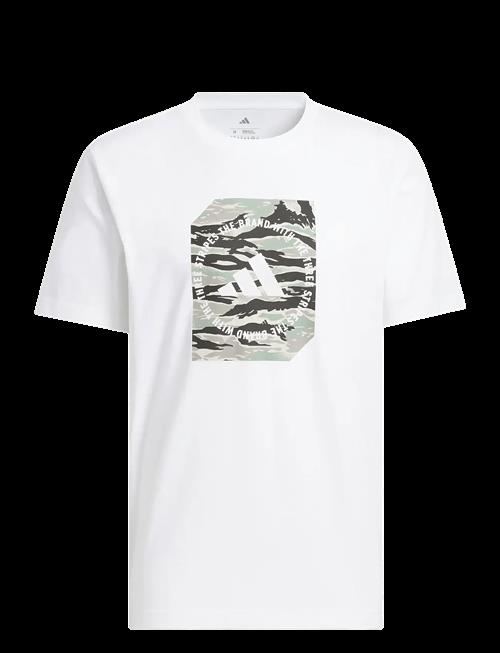 adidas Sportswear | M C Camo Box T | XXL