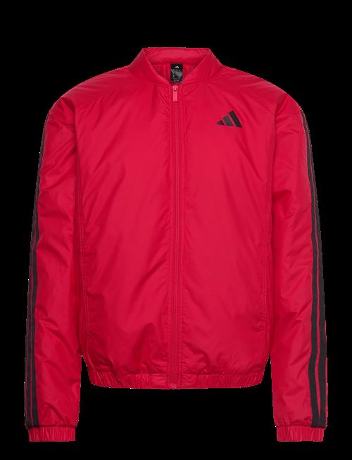 adidas Sportswear | Ess 3S Ins B J | S