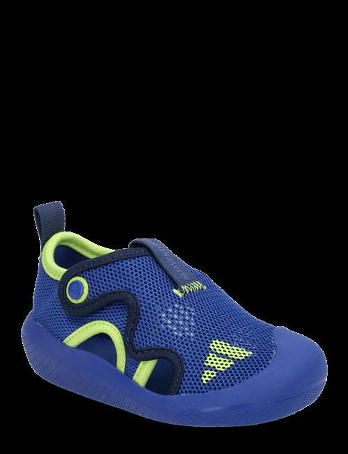 adidas Sportswear | Altaventure 3 I | 26