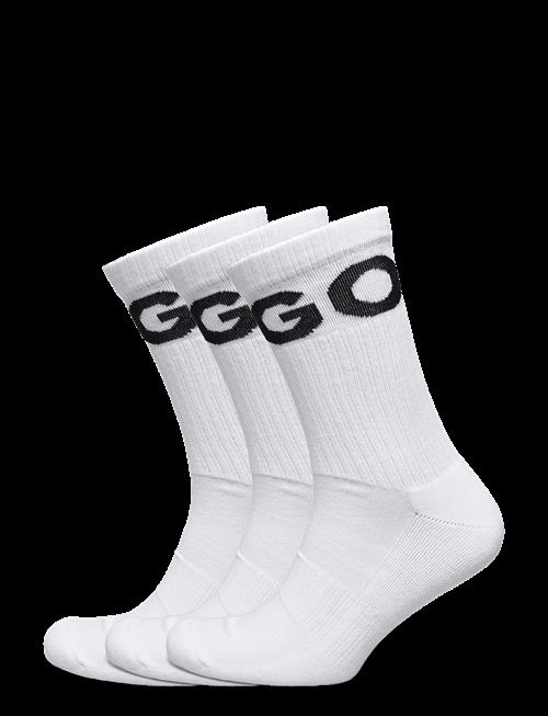 HUGO | 3P Qs Iconic Cc | 43-46
