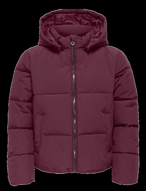 Kids Only | Kogdolly Life Sht Puffer Jacket Otw Noos | 152