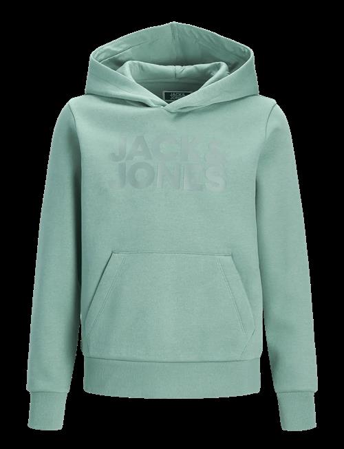 Jack & Jones | Jjecorp Logo Sweat Hood Noos Jnr | 164