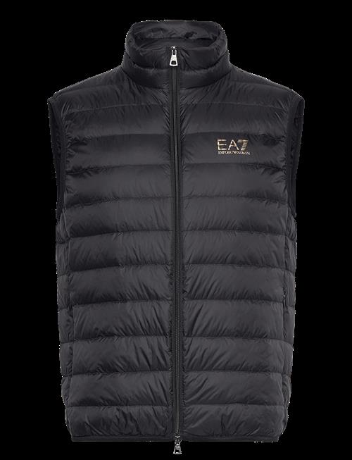 EA7 | Down Waistcoat | M