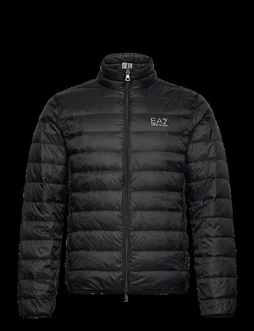 EA7 | Down Jacket | XXXL