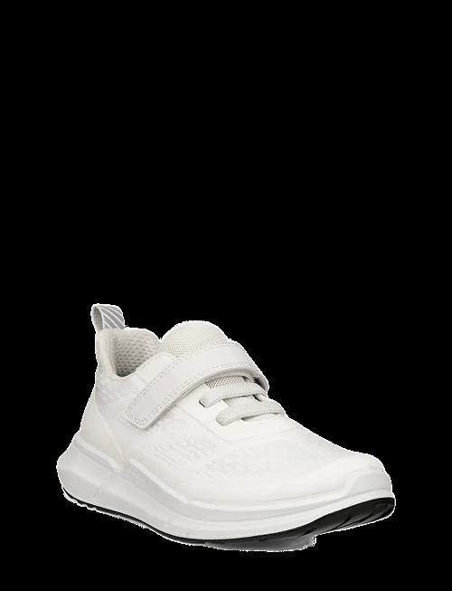 ECCO | Biom 2.2 K | 34