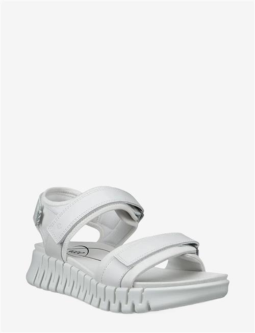 ECCO | Gruuv Sol W | 41