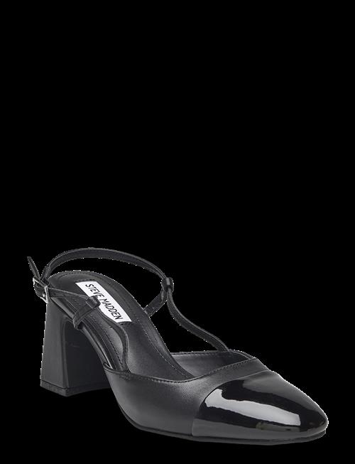 Steve Madden | Zeina | 39
