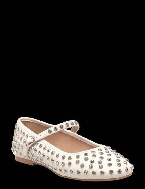 Steve Madden | Vinetta-R | 41