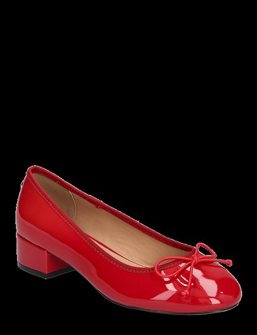 Steve Madden | Cherish | 40
