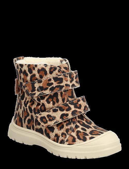 ANGULUS | Boots - Flat - With Velcro | 29