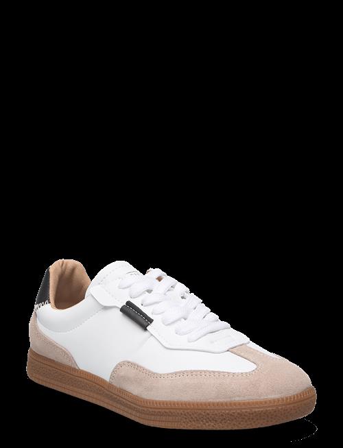 Steve Madden | Emporia Sneaker | 42