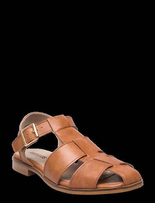 ANGULUS | Sandals - Flat | 40.5/26.7CM
