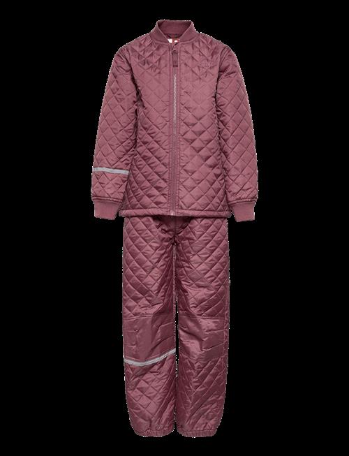 CeLaVi | Basic Thermal Set -Solid | 104