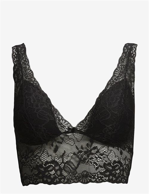 Missya | Nicole Bra Top | 40