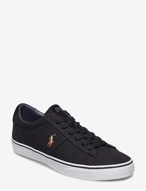 Polo Ralph Lauren | Sayer Canvas Sneaker | 43