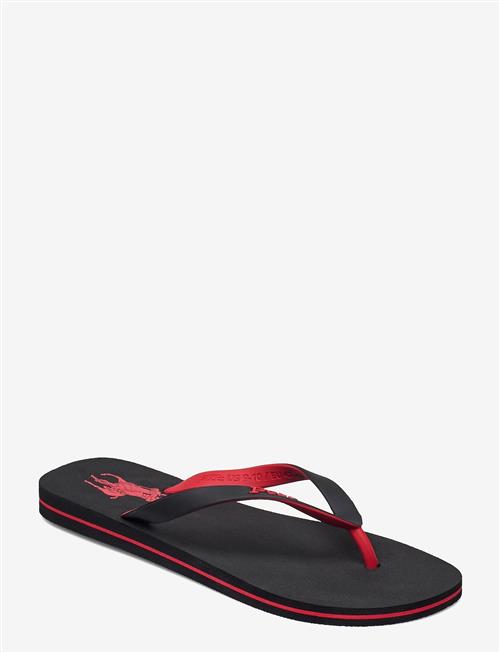 Polo Ralph Lauren | Bolt Pony Flip-Flop | 42